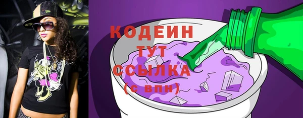 амф Бородино