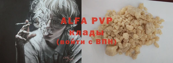 амф Бородино