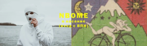 амф Бородино