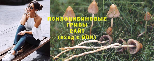 ALPHA-PVP Бугульма