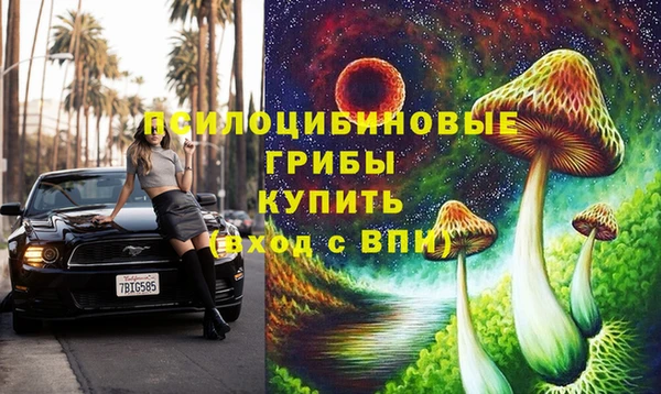 амф Бородино