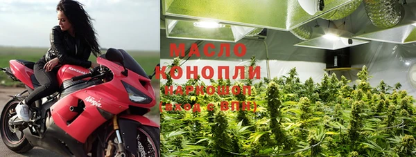амф Бородино