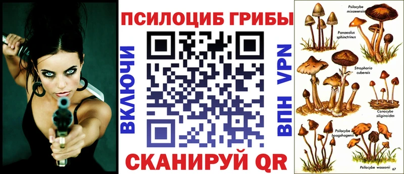 Псилоцибиновые грибы прущие грибы  наркошоп  Новосокольники 